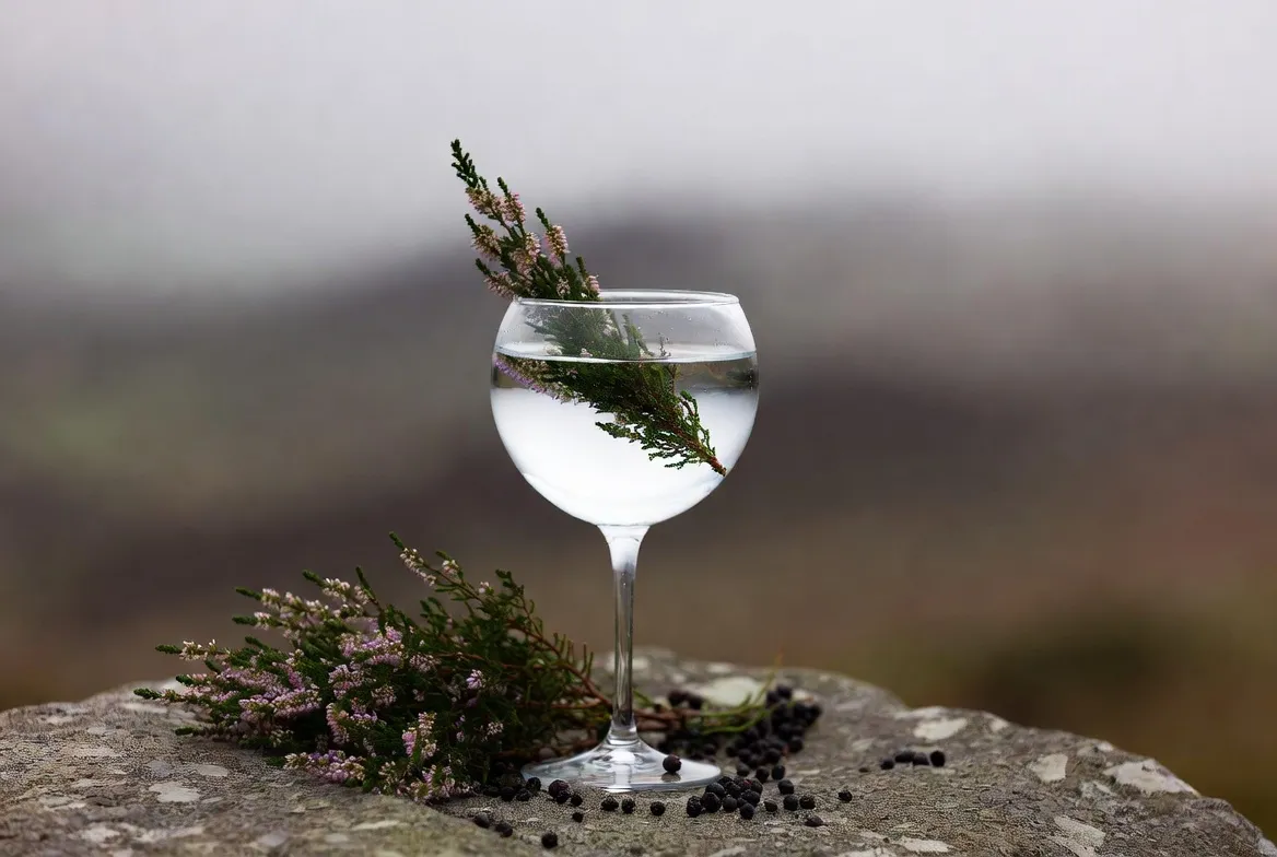 Scottish Gin: How Scotland Quietly Became a Gin Powerhouse